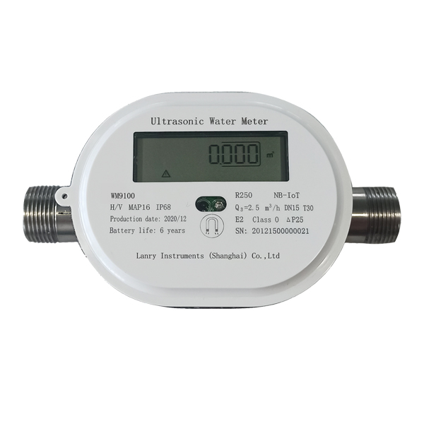 WM9100-ED Residential ultrasonic smart water meters